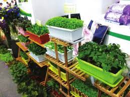 大豆食品如何减少体内炎症反应与慢性病风险